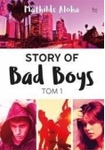 Story of Bad Boys T.1 ,nowa