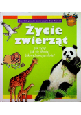 Życie zwierząt