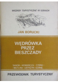 Wędrówka przez Bieszczady