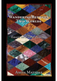 Wandering Between Two Worlds