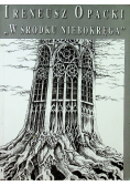 W środku niebokręga