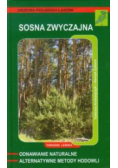 Sosna zwyczajna