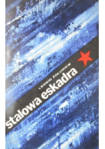 Stalowa eskadra