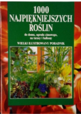 100 najpiękniejszych roślin