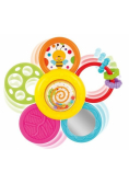 Grzechotka Stokrotka