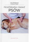 Fizjoterapia i masaż psów