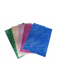 Karton Shining 230g 25x35cm 5 arkuszy MIX