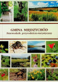 Gmina Międzychód przewodnik