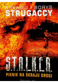 Stalker Piknik Na Skraju Drogi