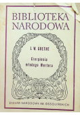 Cierpienie młodego Wertera