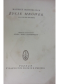 Życie mrówek, 1931 r.