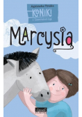 Koniki z Szumińskich łąk Marcysia