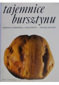 Tajemnice bursztynu