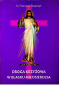 Droga krzyżowa w blasku miłosierdzia