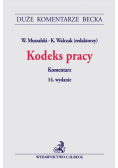 Kodeks pracy. Komentarz