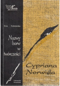 Nazwy barw w twórczości