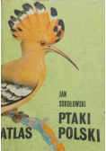 Ptaki Polski Atlas