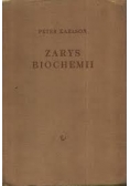 Zarys biochemii