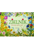 Zielnik. Kwiaty pól i łąk