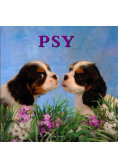 Psy