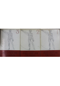 Atlas anatomii człowieka Tom 1 do 3