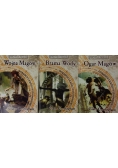 Wojna Magów/ Brama Wody/Ogar Magów