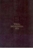 Wielka encyklopedia PWN T.15