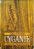 Cyganie studia nad przestępczością