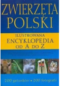 Zwierzęta Polskie