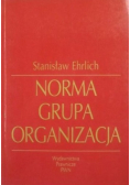Norma grupa organizacja