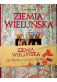 Ziemia wieluńska Skarby kultury i przyrody