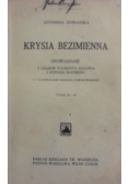 Krysia Bezimienna