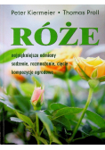 Róże Najpiękniejsze odmiany sadzenie rozmnażanie cięcie kompozycje ogrodowe