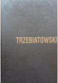Janusz Trzebiatowski Malarstwo pastelowe