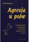 Agresja u psów
