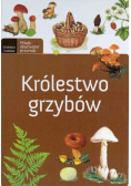 Królestwo grzybów