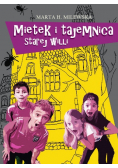 Mietek i tajemnica starej willi