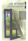 Drzewo morwy