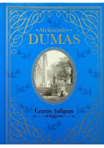 Kolekcja Hachette Tom 8 Czarny tulipan