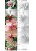 Zakładka 3D Orchidea