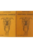 Anatomia zwierząt Tom I  Część I do III