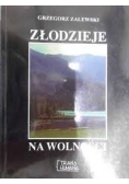 Złodzieje na wolności