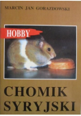 Chomik syryjski