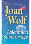 Tajemnica silverbridge