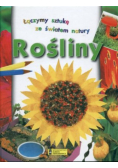 Łączymy sztukę ze światem natury Rośliny