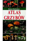 Atlas grzybów
