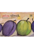 Atlas śliwek
