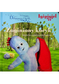 Zaginiony kocyk