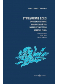 Cywilizowanie dzieci? Społeczno-kulturowe badania dzieciństwa