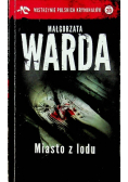 Miasto z lodu